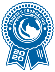 Forever Foundation 2020 Badge